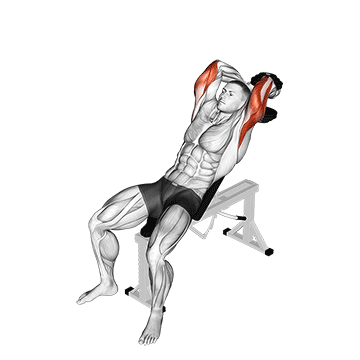 Animated demonstration of the dumbbell incline two arm extension exercise, targeting the Triceps using Dumbbell.