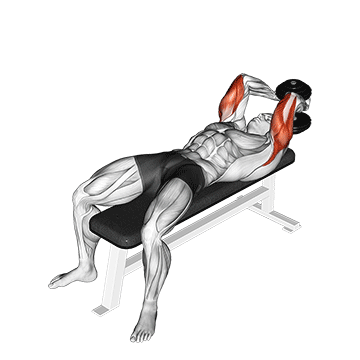Animated demonstration of the dumbbell lying single extension exercise, targeting the Triceps using Dumbbell.