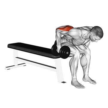Animated demonstration of the dumbbell seated bent over triceps extension exercise, targeting the Triceps using Dumbbell.