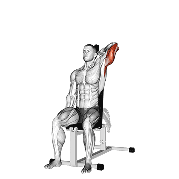 Animated demonstration of the dumbbell seated reverse grip one arm overhead tricep extension exercise, targeting the Triceps using Dumbbell.