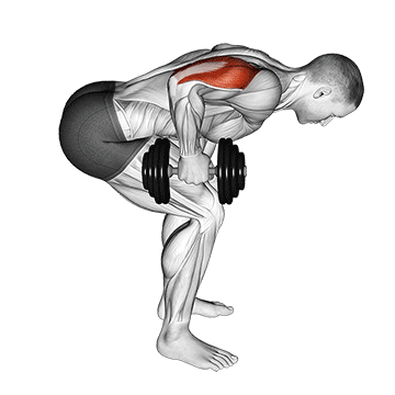 Animated demonstration of the dumbbell standing bent over one arm triceps extension exercise, targeting the Triceps using Dumbbell.