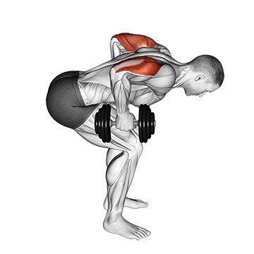 Animated demonstration of the dumbbell standing bent over two arm triceps extension exercise, targeting the Triceps using Dumbbell.