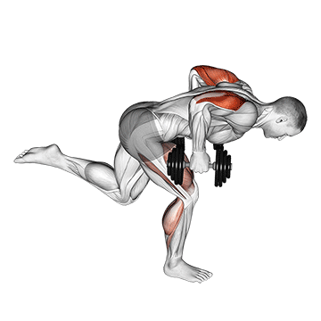 Animated demonstration of the dumbbell tricep kickback with stork stance exercise, targeting the Triceps using Dumbbell.