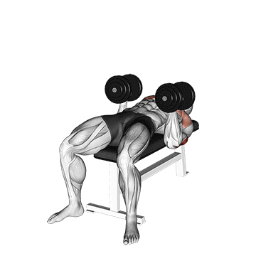 Animated demonstration of the dumbbell twisting bench press exercise, targeting the Triceps using Dumbbell.
