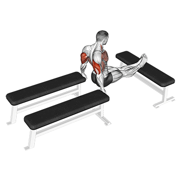 three bench dip