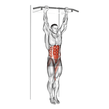 Animated demonstration of the hanging leg hip raise exercise, targeting the Abs using Body weight.