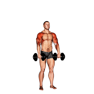 Animated demonstration of the dumbbell cuban press v. 2 exercise, targeting the Delts using Dumbbell.