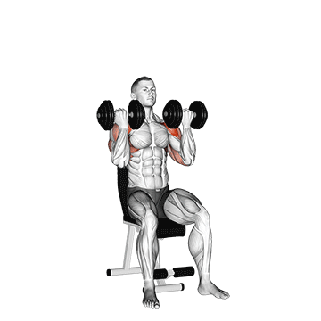Animated demonstration of the dumbbell arnold press exercise, targeting the Delts using Dumbbell.