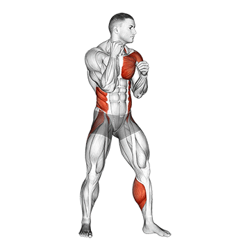 Animated demonstration of the left hook. boxing exercise, targeting the Delts using Body weight.