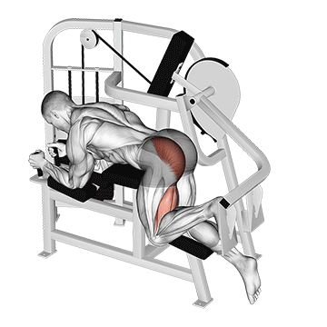 lever hip extension v. 2