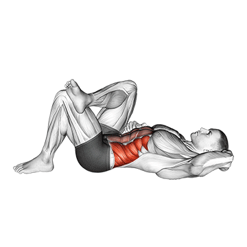 Animated demonstration of the lying elbow to knee exercise, targeting the Abs using Body weight.