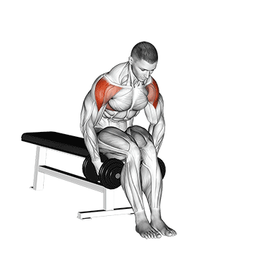 Animated demonstration of the dumbbell seated bent arm lateral raise exercise, targeting the Delts using Dumbbell.