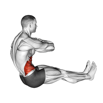 Animated demonstration of the spine twist exercise, targeting the Abs using Body weight.