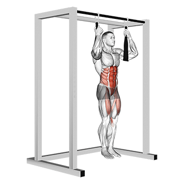 Animated demonstration of the arm slingers hanging straight legs exercise, targeting the Abs using Body weight.