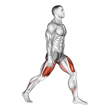split squats