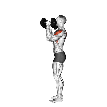 Animated demonstration of the dumbbell scott press exercise, targeting the Delts using Dumbbell.