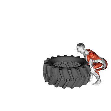 Animated demonstration of the tire flip exercise, targeting the Glutes using Tire.