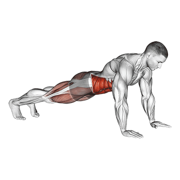 Animated demonstration of the bridge - mountain climber (cross body) exercise, targeting the Abs using Body weight.