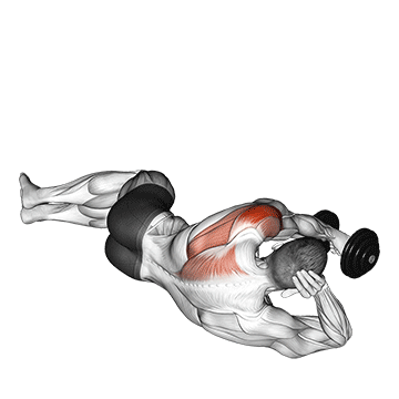 Animated demonstration of the dumbbell lying on floor rear delt raise exercise, targeting the Delts using Dumbbell.