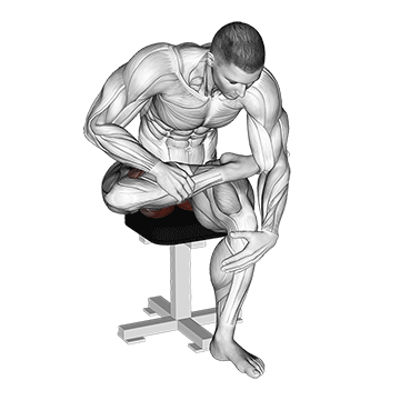 Animated demonstration of the seated piriformis stretch exercise, targeting the Glutes using Body weight.