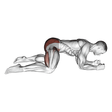 Animated demonstration of the rocking frog stretch exercise, targeting the Glutes using Body weight.