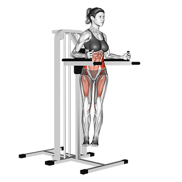 Animated demonstration of the twisted leg raise (female) exercise, targeting the Abs using Body weight.