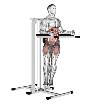 Animated demonstration of the twisted leg raise exercise, targeting the Abs using Body weight.