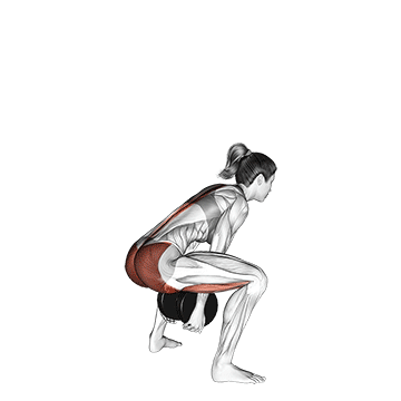 dumbbell sumo pull through