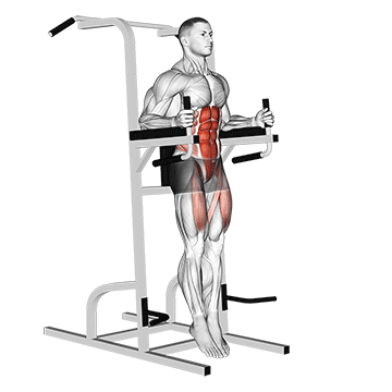 Animated demonstration of the captains chair straight leg raise exercise, targeting the Abs using Body weight.