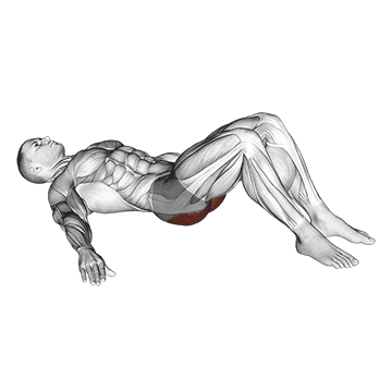 Animated demonstration of the low glute bridge on floor exercise, targeting the Glutes using Body weight.