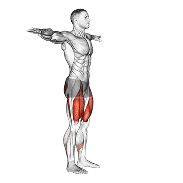 Animated demonstration of the potty squat exercise, targeting the Abs using Body weight.
