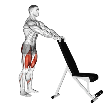 Animated demonstration of the potty squat with support exercise, targeting the Glutes using Body weight.