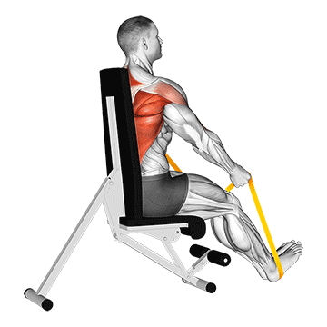 resistance band seated straight back row