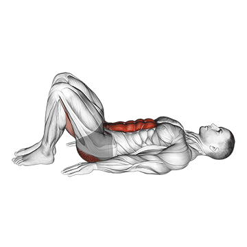 Animated demonstration of the pelvic tilt exercise, targeting the Abs using Body weight.