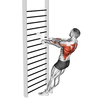 bodyweight standing row (with towel)