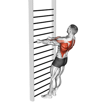 Animated demonstration of the bodyweight standing row exercise, targeting the Upper back using Body weight.