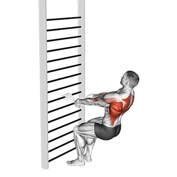 Animated demonstration of the bodyweight squatting row (with towel) exercise, targeting the Upper back using Body weight.