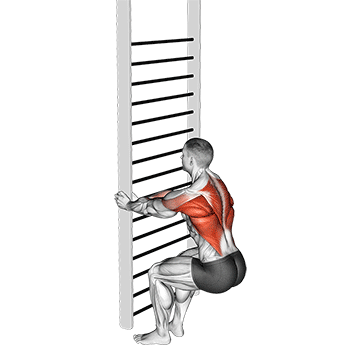 Animated demonstration of the bodyweight squatting row exercise, targeting the Upper back using Body weight.