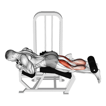 lever lying two-one leg curl