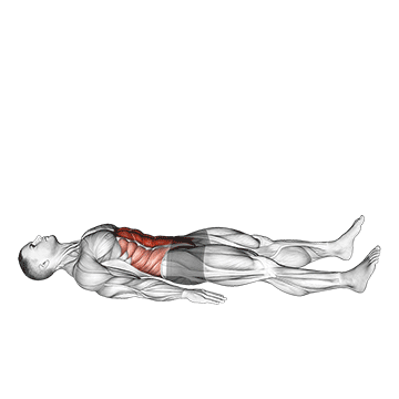 Animated demonstration of the half sit-up (male) exercise, targeting the Abs using Body weight.