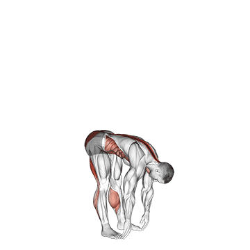 Animated demonstration of the basic toe touch (male) exercise, targeting the Glutes using Body weight.