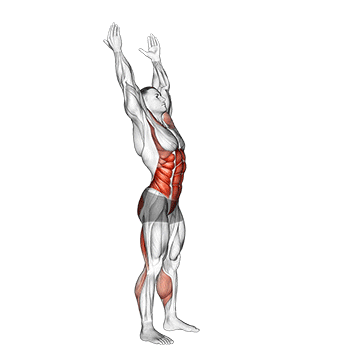 Animated demonstration of the side-to-side toe touch (male) exercise, targeting the Abs using Body weight.