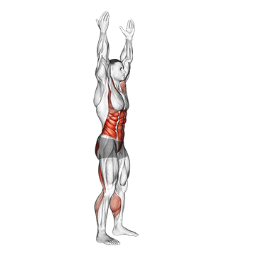 Animated demonstration of the arms apart circular toe touch (male) exercise, targeting the Glutes using Body weight.