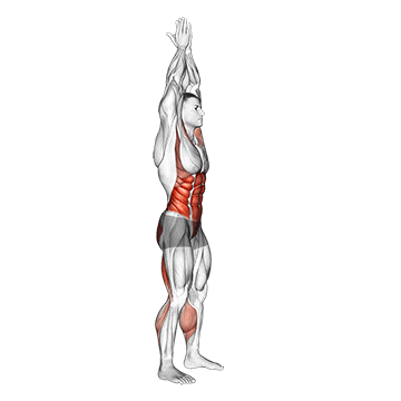 Animated demonstration of the hands clasped circular toe touch (male) exercise, targeting the Glutes using Body weight.