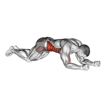 Animated demonstration of the kneeling plank tap shoulder (male) exercise, targeting the Abs using Body weight.