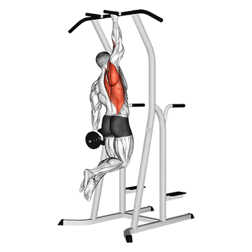 weighted one hand pull up