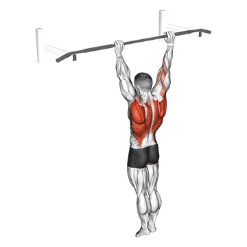 Animated demonstration of the archer pull up exercise, targeting the Lats using Body weight.