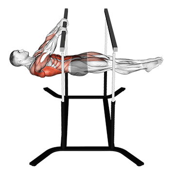 Animated demonstration of the front lever reps exercise, targeting the Upper back using Body weight.