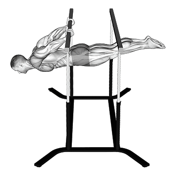 Animated demonstration of the back lever exercise, targeting the Upper back using Body weight.