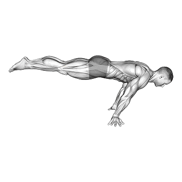 Animated demonstration of the full planche exercise, targeting the Abs using Body weight.